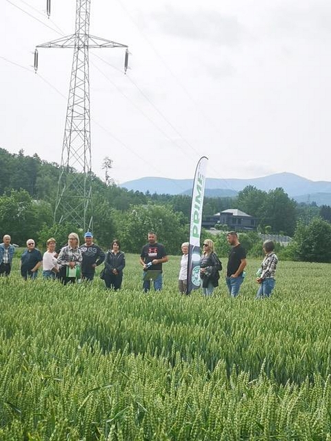 Prezentacja poletek w ZDOO Jelenia Góra