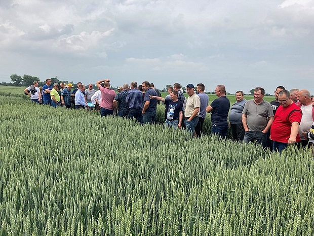 Prezentacja doświadczeń PDO z pszenicą ozima w SDOO Zybiszów