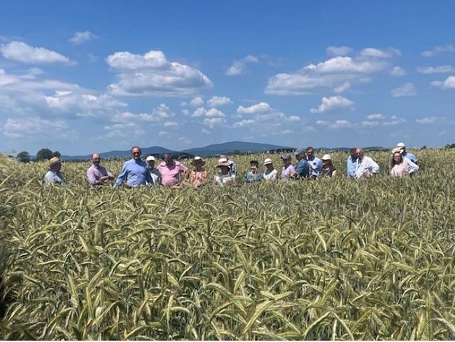Wizytacja doświadczeń na polach KWS