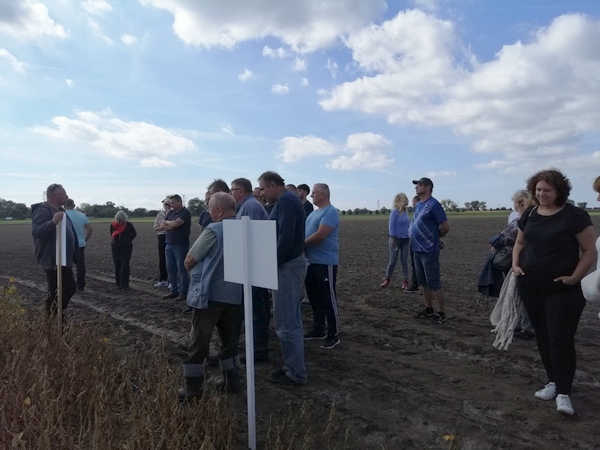 prezentacja odmian soi