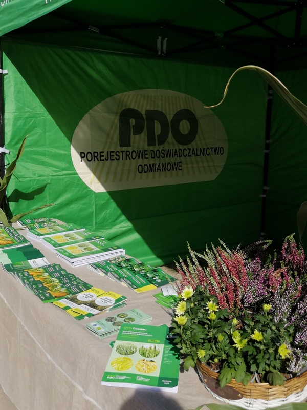 stoisko informacyjne SDOO