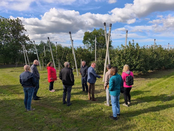 prezentacaj doświadczeń z czereśnią