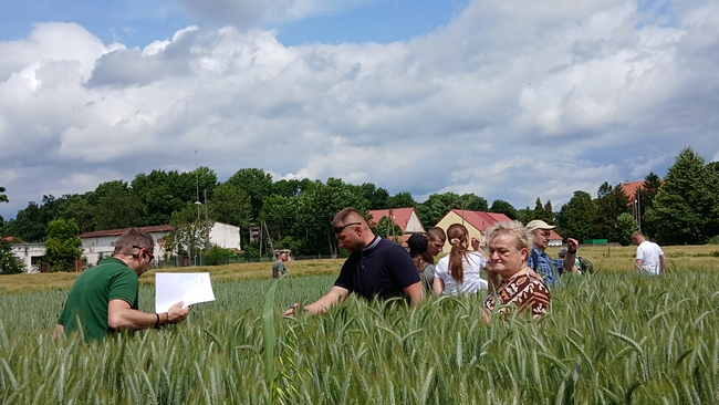 szkolenie praktyczne w polu