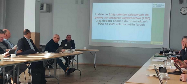 prezentacja wyników 